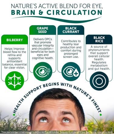OcuBerry - Bilberry Grape Seed Black Currant & Black Rice Extracts - Antioxidant & Vascular Support - Vision Retina & Blue Light Protection - No Fillers Excipients - 60 Vegan Capsules Supplement - Buy Online on GoSupps.com