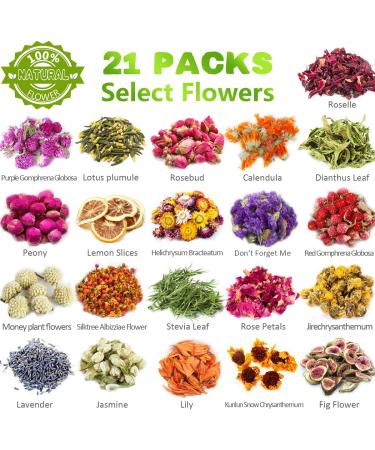 21 Pack Natural Dried Flowers for Candle, Soap, Bath, and Resin Jewelry Making - Lavender, Rose Petals, Rosebuds, Leaves, Lemon - Bulk Dried Herbs Kit - Buy Online on GoSupps.com