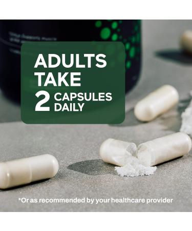 SMARTERNUTRITION Essential Amino Acids (EAA) Capsules - 1 Gram Per Serving of All 9 EAAs - Supports Muscle Mass & Exercise - Non-GMO Vegan Gluten Free - 60 Count 30-Day Supply 60 Count (Pack of 1) - Buy Online on GoSupps.com