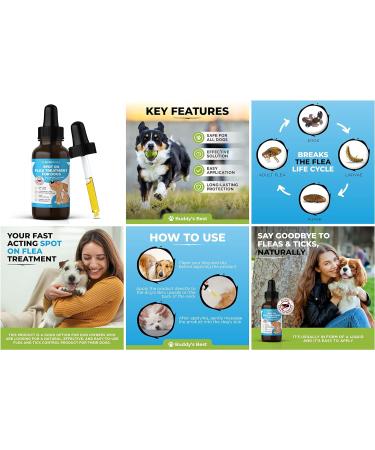 Spot On Flea Treatment For Dogs | Natural Flea & Tick Repellent | Long Lasting & Effective Protection | 50ml - Buy Online on GoSupps.com