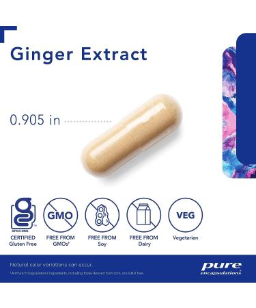 Pure Encapsulations Ginger Extract | Digestive, Musculoskeletal & Cardiovascular Support | 120 Capsules - Buy Online on GoSupps.com