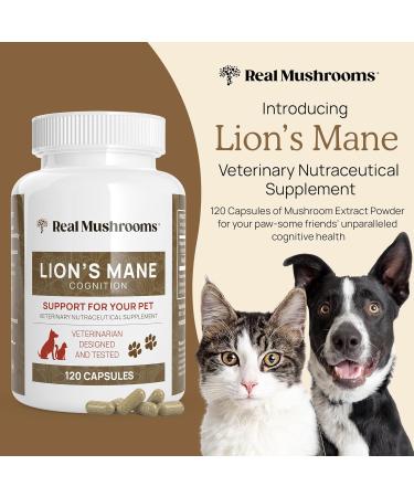 Real Mushrooms Lions Mane for Humans (60 Servings) and Pets (120ct) - Powder & Capsules Bundle for Cognition & Immunity - Vegan Non-GMO Gluten-Free Grain-Free Mushroom Extract Supplements - Buy Online on GoSupps.com