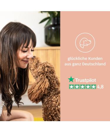 Mammaly Shiny Hair Fell Care Snacks for Dogs | Omega-3 Biotin & Sea Algae | 270 Delicious Fur Care Treats - Bundle 3x - Buy Online on GoSupps.com