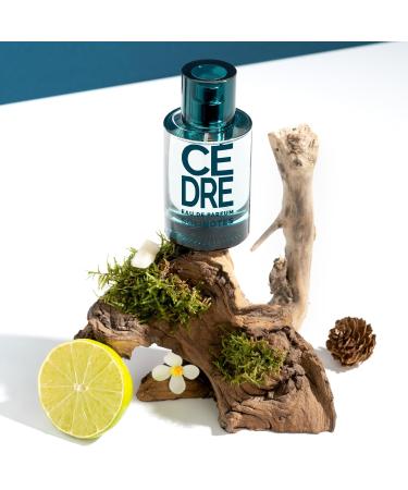 SOLINOTES Cedarwood Perfume for Men - Eau De Parfum | Refined Woody and Soothing Fragrance - Made in France - Vegan - 1.7 fl.oz - Buy Online on GoSupps.com