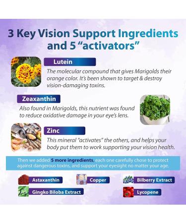 Vision 20 by Zenith Labs - Clinically Proven Lutein & Zeaxanthin with Zinc Citrate for Enhanced Eye Health - Support Eyesight at All Distances & Lighting Conditions - Buy Online on GoSupps.com