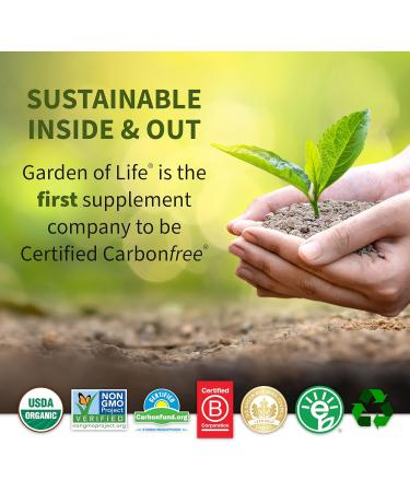 Garden of Life SPORT Organic Plant-Based Pre Workout Powder - Blackberry Flavor Vegan Gluten-Free Natural Energy Boost 12 Servings - Buy Online on GoSupps.com