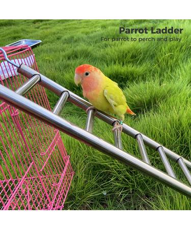 GEKMOR 9-Step Stainless Steel Parrot Ladder for Bird Cages - Rustproof, Nonskid, Portable & Durable - Buy Online on GoSupps.com