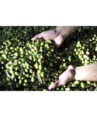  Gnavolini Raccolta Sapore Gnavolini Raccolta Sapore 100% Italian Organic Extra Virgin Olive Oil | 250ml Bottle | Organic Extra Virgin Oil for Well-being in the Kitchen - Buy Online on GoSupps.com