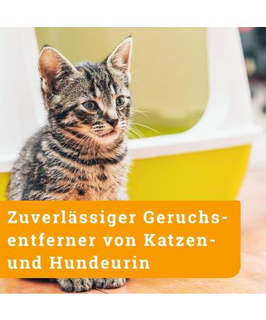Buy Awiwa Odor Neutralizer & Cat Urine Stain Remover (1L) - Effective Pet Odor Control for Dogs & Cats | International Shipping Available - Buy Online on GoSupps.com