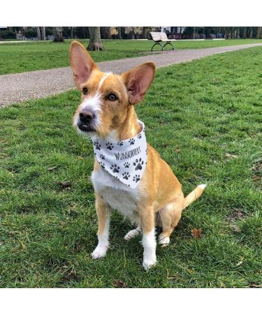 Printplanet Dog Scarf - Custom Name Text Scarf for Dogs - Paw Pattern - Size M - Buy Online on GoSupps.com