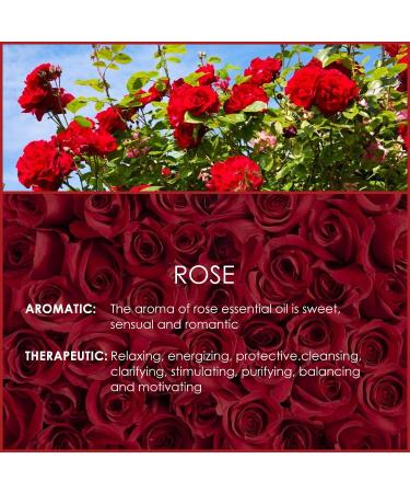 100% Pure Natural Rose Oil 120ml | Aromatherapy Essential Oil for Diffusers Massage Candle Making & Gifts for Women - Buy Online on GoSupps.com