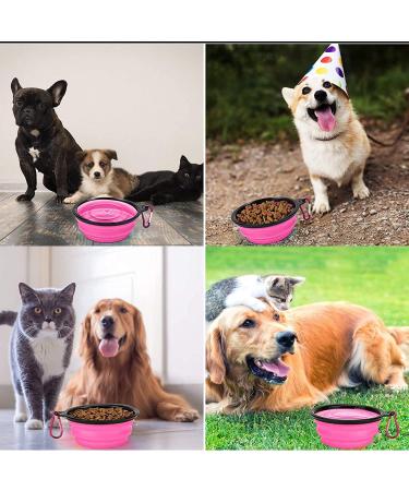 Coolon Collapsible Dog Bowl - Foldable Portable Water Bowl for Cats & Dogs 650ml Pink with Carabiners | Perfect for Travel - Buy Online on GoSupps.com