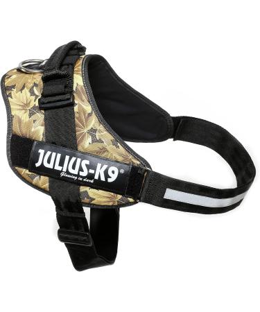 Buy IDC Powerharness 3XL/4 - Autumn Touch | Best International Shipping - Buy Online on GoSupps.com