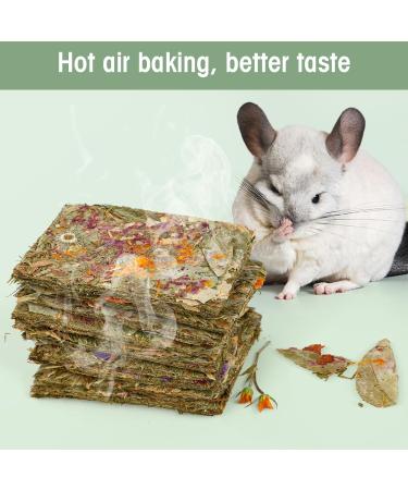 ABIZOO HASE KOTH THE: 10 Natural Rabbit Tears & Herbal Treats - Timothy Hay Toy for Dwarf Rabbits Guinea Pigs Chinchillas & Hamsters - Buy Online on GoSupps.com