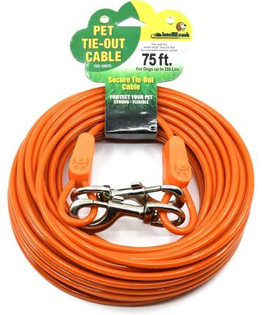 IntellileaSh 2.5m Mooring Cable for Large Dogs - Strong Safe & Durable Tension Belts up to 113kg - Weather-Resistant Aircraft Cable for Outdoor Use - Buy Online on GoSupps.com