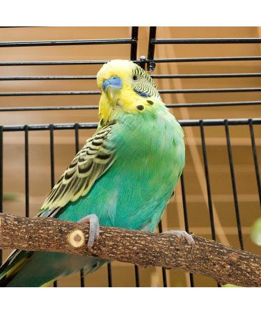 Natural Wooden Bird Perch Set - 5PCS Bird Stand Toy for Cage, Paw Grinding Stick, Exercise Training, Climbing Toys - Bird Cage Accessories - Buy Online on GoSupps.com