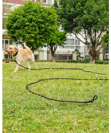 Joytale Padded Handle Training Lead for Dogs - 10m Long Line for Training & Tie Out - Supports Dogs Under 45kg - Black - Buy Online on GoSupps.com