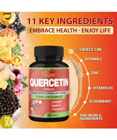Organic Cadane Quercetin Extract Capsules - Combined with VitC Zn.C VitD3 Elderberry Bromelain Nettle Ginger Echinacea Garlic Pepper - 60 Capsules - Buy Online on GoSupps.com