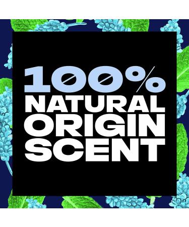 AXE Men's Alpine Lift Body Wash 18 oz - 4 Pack | Plant Based Ingredients, 100% Natural Scent - Buy Online on GoSupps.com