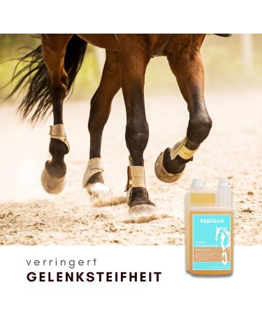 Supravit MSM & Glucosamine for Horses | 1000ml Liquid Joint Health Supplement | Support Tendons & Ligaments - Buy Online on GoSupps.com