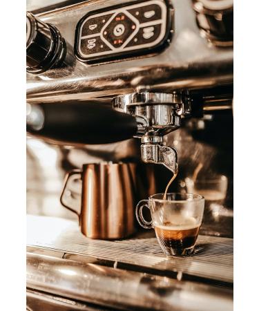 Frog Friendly Coffee - Medium Roast Whole Bean: Low Acidity Certified Organic Single Origin Wild Harvested Specialty Coffee from Oaxaca Mexico - 2 lb bag Medium 907g - Buy Online on GoSupps.com