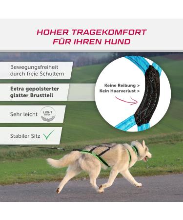 LASALINE Dog Harness X Back | Perfect for Canicross Dogscooter Bikejoring & Sledding - Black & Light Blue - Buy Online on GoSupps.com