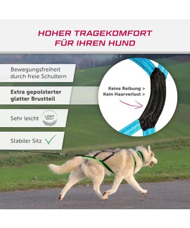 LASALINE Dog Harness X Back - Canicross Dogscooter & Bikejoring for Large Dogs - Black & Light Blue XXXXL - Buy Online on GoSupps.com