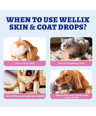 4oz Large Premium Liquid Collagen for Dogs&Cats - Skin&Coat Coat Defense Itch Relief Hip&Joint Supplement - Grass Fed Dog Collagen Drops with Biotin MSM Vitamin C&E Collagen Supplement - Buy Online on GoSupps.com