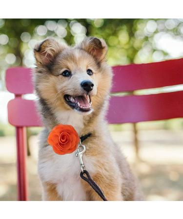 LUTER 4pcs Pet Collar Flowers Multicolored Dog Flower Tie&Bow Floral Collar Charms Accessories Detachable Flower Embellishment for Cats Dogs Pets Supplies (8cm/3.14inch) - Buy Online on GoSupps.com