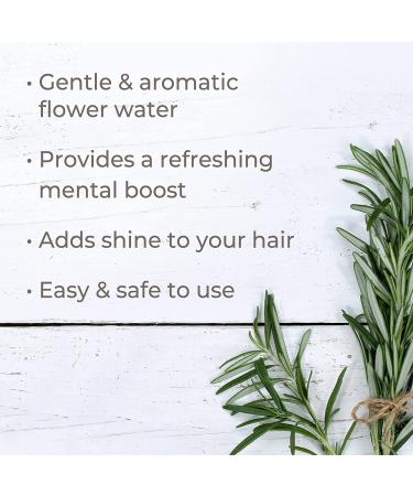 Plant Therapy Rosemary Hydrosol 4 oz - Pure Floral Water, By-Product of Essential Oils - Buy Online on GoSupps.com
