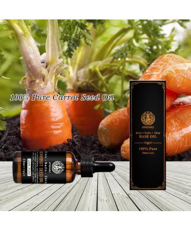 100% Pure Rose Aromatherapy Essential Oils | Therapeutic Quality Diffuser & Massage Oil - Set of 10ml Carrot Kernel Oil - Buy Online on GoSupps.com