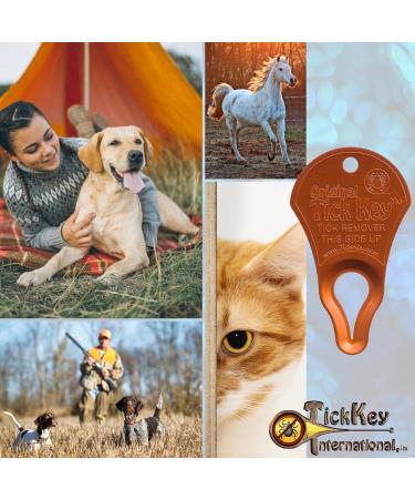 The Original Tick Key -Tick Detaching Device - Portable Safe and Highly Effective Tick Detaching Tool (Assorted) Multi - Buy Online on GoSupps.com