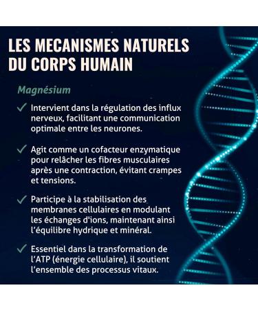 BLANCHE BRESSON - Magn sium Marin 300 mg renforc en Vitamine B6 - Contre la Fatigue et le Stress Relaxation Energie D tente - Origine Marine - 90 G lules - Cure de 90 jours - Fabriqu en France 90 unit (Lot de 1) - Buy Online on GoSupps.com