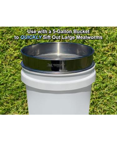Mealworm Farming Solutions' Lightning Sifter Large Sifting Pan (D-11) - Buy Online on GoSupps.com