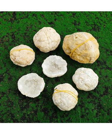CIMWJOPS Natural Crystal White Agate Druzy Cave Crystal Geode Stone Raw Crystal Cluster 100-150g 1pair - Buy Online on GoSupps.com