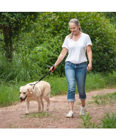 Vivaglory Short Dog Leash - Premium 46cm Training Line for Medium & Large Dogs | Black/Red Traffic Leash - Buy Online on GoSupps.com