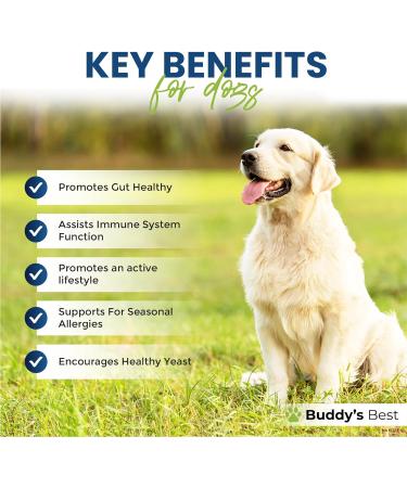 Probiotics For Dogs | 60 Tablets | Supports Healthy Digestive & Immune System | Unique Formula Contains Beta Glucans Turmeric & Ginger - Buy Online on GoSupps.com