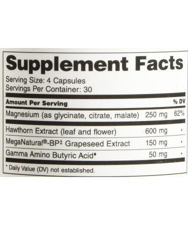 Dr. Sinatra Advanced BP Support - 120 Capsules for Healthy Blood Pressure - Buy Online on GoSupps.com