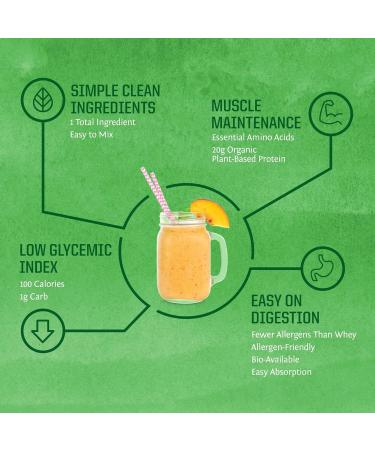 Sunwarrior Foods Sunwarriorr Brown rice protein powder with bcaa and amino acids raw rice protein shake gluten free low carb dairy free Vegetable classic sprouted brown rice protein powder natural 750 g - Buy Online on GoSupps.com