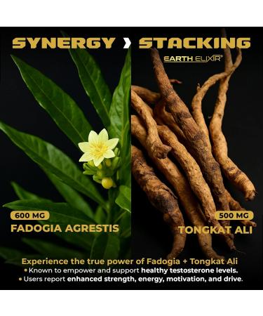 Earth Elixir Tongkat Ali Fadogia Agrestis - 180 Capsules | Powerful Herbal Supplement - Buy Online on GoSupps.com