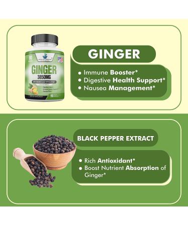 Organic Ginger Root Capsules 3850mg - Immune Support Supplement with Ginger Powder for Digestive Health - 90 Veg Capsules - Buy Online on GoSupps.com