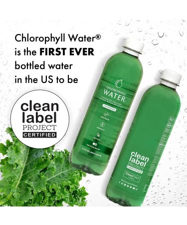 Plant Based Chlorophyll Water with Vitamins A, B12, C, D | Antioxidants & Immune Support | 12pk - Buy Online on GoSupps.com