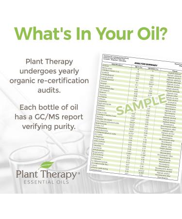 Plant Therapy Organic Respir Support Essential Oil Blend 10 mL | 100% Pure Natural Aromatherapy for Respiratory Health - Buy Online on GoSupps.com