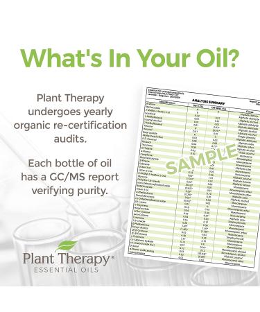 Plant Therapy Organic Lavender Essential Oil 100% Pure USDA Certified - 30mL (1 oz) Therapeutic Grade Aromatherapy - Buy Online on GoSupps.com