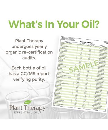Buy Plant Therapy Organic Blue Tansy Essential Oil - 100% Pure Natural Aromatherapy Therapeutic Grade 5mL - International Shipping Available - Buy Online on GoSupps.com