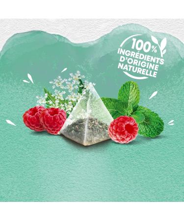 Elephant Fresh Detox Infusion Meadowsweet Flavor Peppermint and Raspberry 100% Natural Ingredients 2 - Buy Online on GoSupps.com