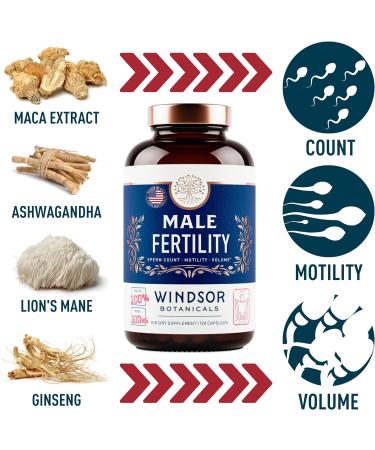 Fertility Supplements for Men - Conception & Male Fertility Vitamin with Zinc, Maca, Ashwagandha, L-Arginine - 4 Month Supply (240 Pills) - Buy Online on GoSupps.com