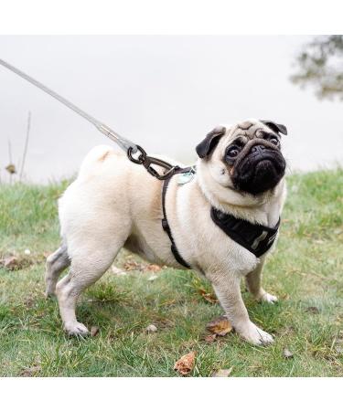 Premium Tie Out Linen for Dogs - Shock-Damping Spring 3-15m | Durable Dog Leash for Courtyards & Farms - Silbrig Color - Buy Online on GoSupps.com