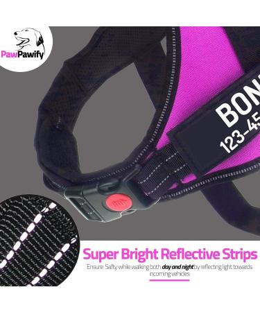 Personalized Pawpawify Dog Harness - No Pull Choke Prevention for XS Dogs (17-22in) - Durable & Ideal for Training & Walking - Pink - Buy Online on GoSupps.com