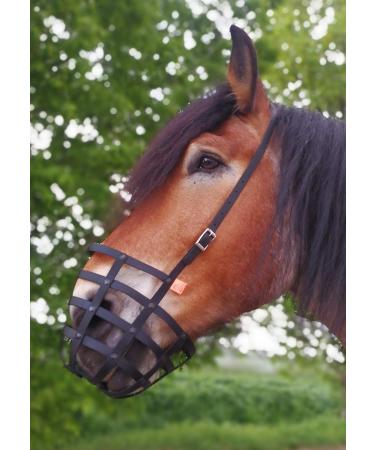 Heavy Horse Parts Feeding Muzzle - Strong Standard Size No Throatlatch Durable Base Plate for International Shipping - Buy Online on GoSupps.com